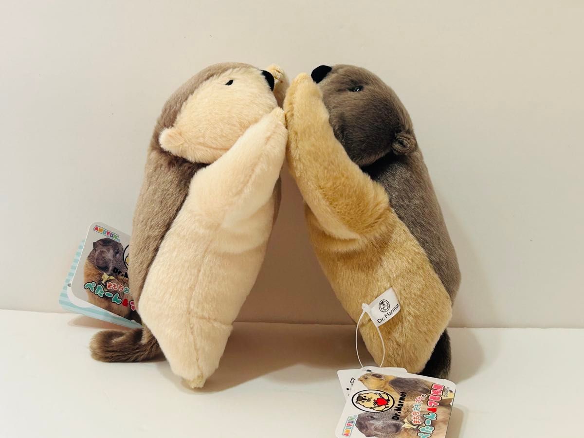 Dr マーモット まもちおもプクのぺたーん＆マモ相撲ぬいぐるみ 2種
