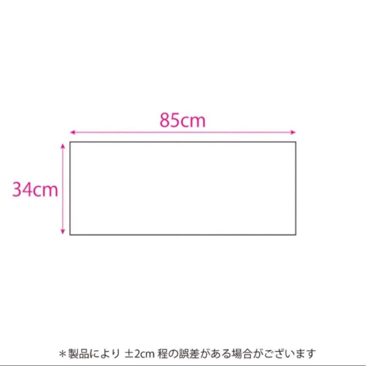 未使用・未開封品】BE FIRST タオル ワンマングッズ BMSG ビーファ