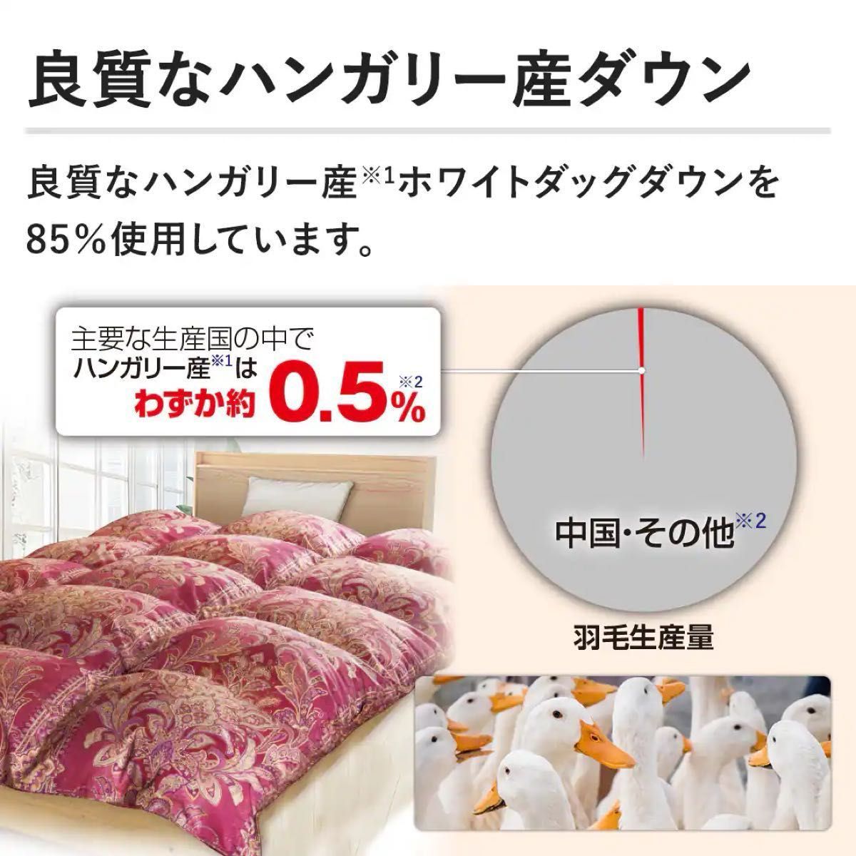 モリリン エクセルラベル羽毛布団 シングル ワインレッド シングル