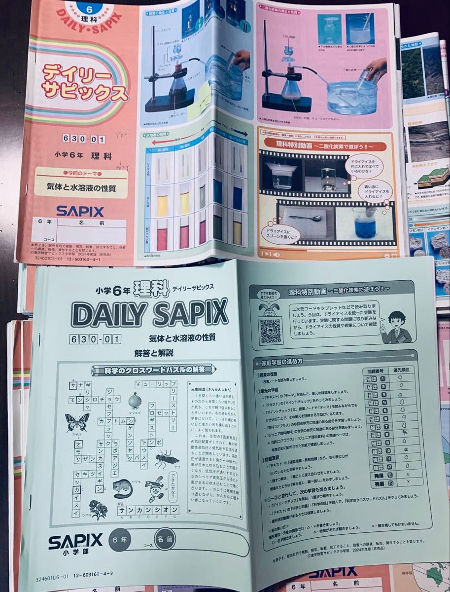 SAPIXの小学6年生向け理科のデイリーサピックス 630-01から630-38 計38