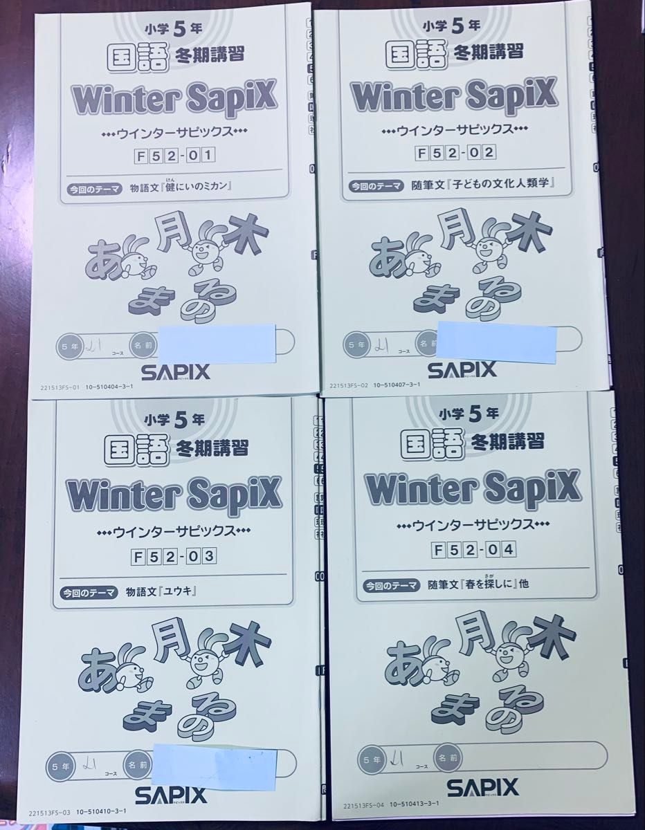 SAPIX 小学5年 国語 冬期講習 Winter SapiX F52-01～04 計4セット