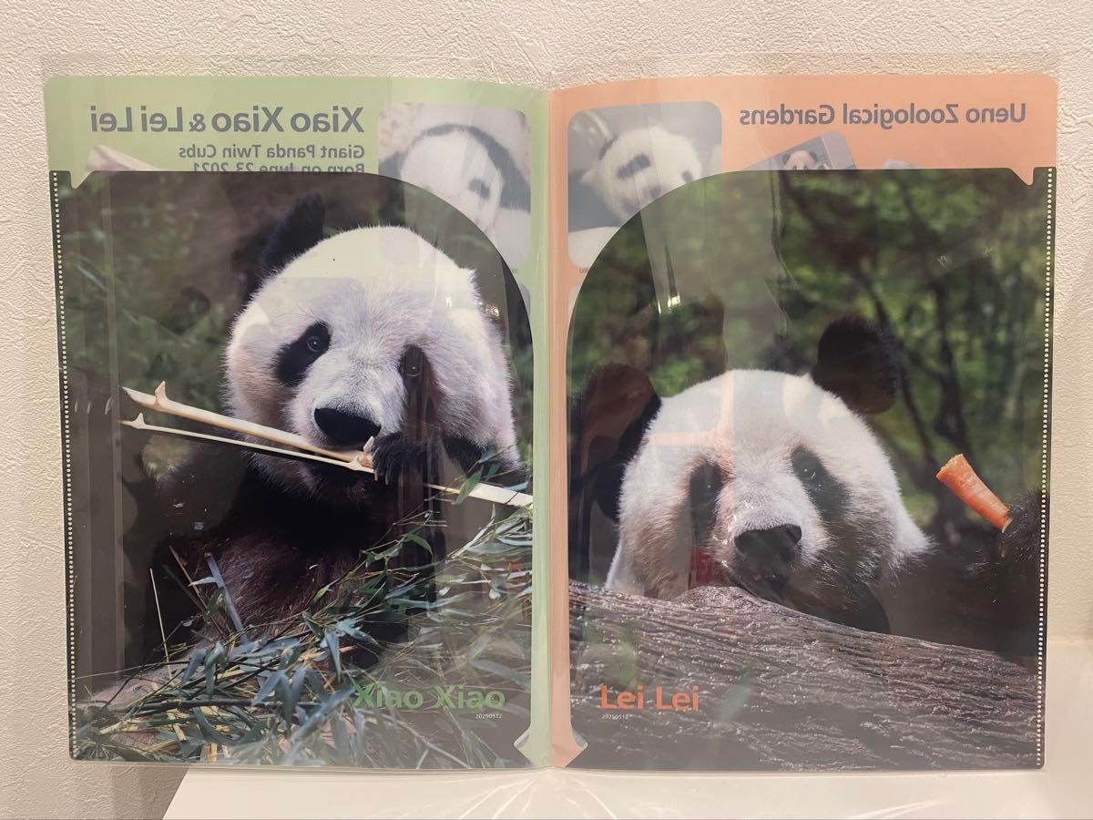 上野動物園 ジャイアントパンダ シャオシャオ レイレイ クリアファイル