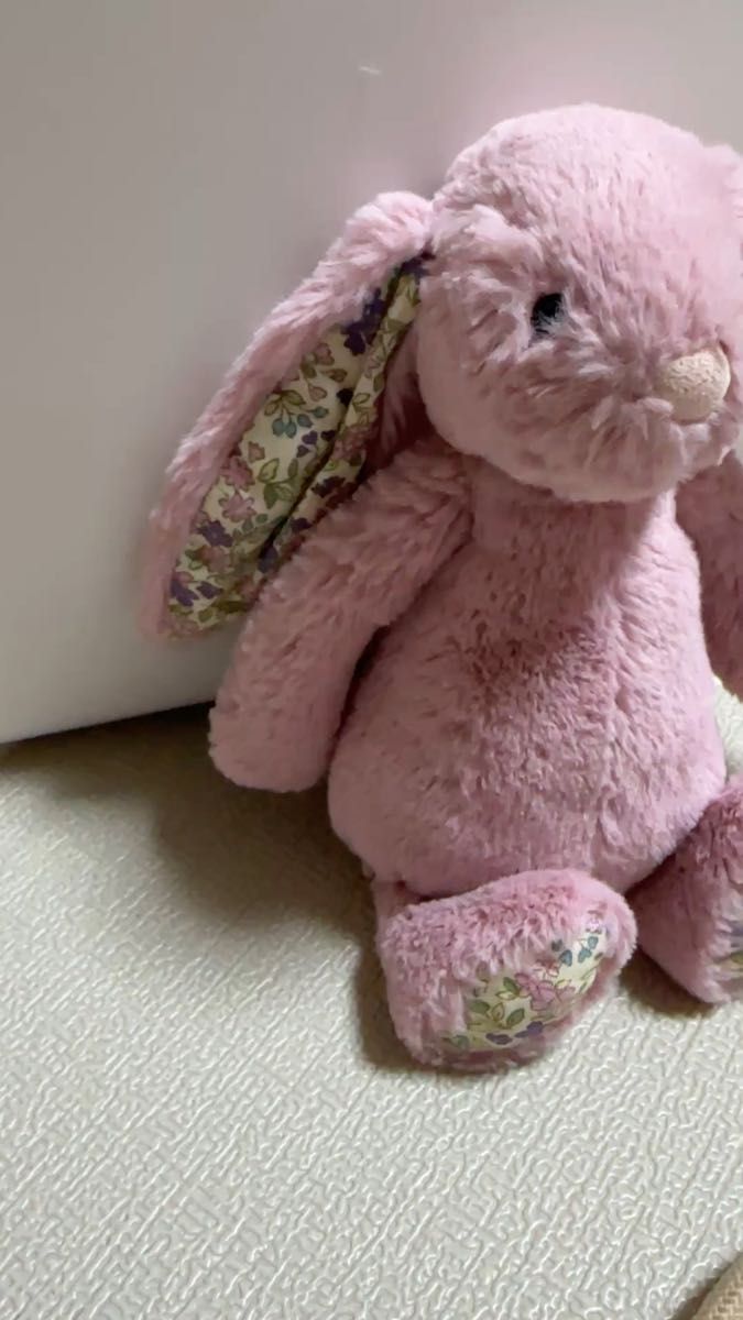 完売品 新品 ジェリーキャット ピーナッツ ナッツ ぬいぐるみ 落花生