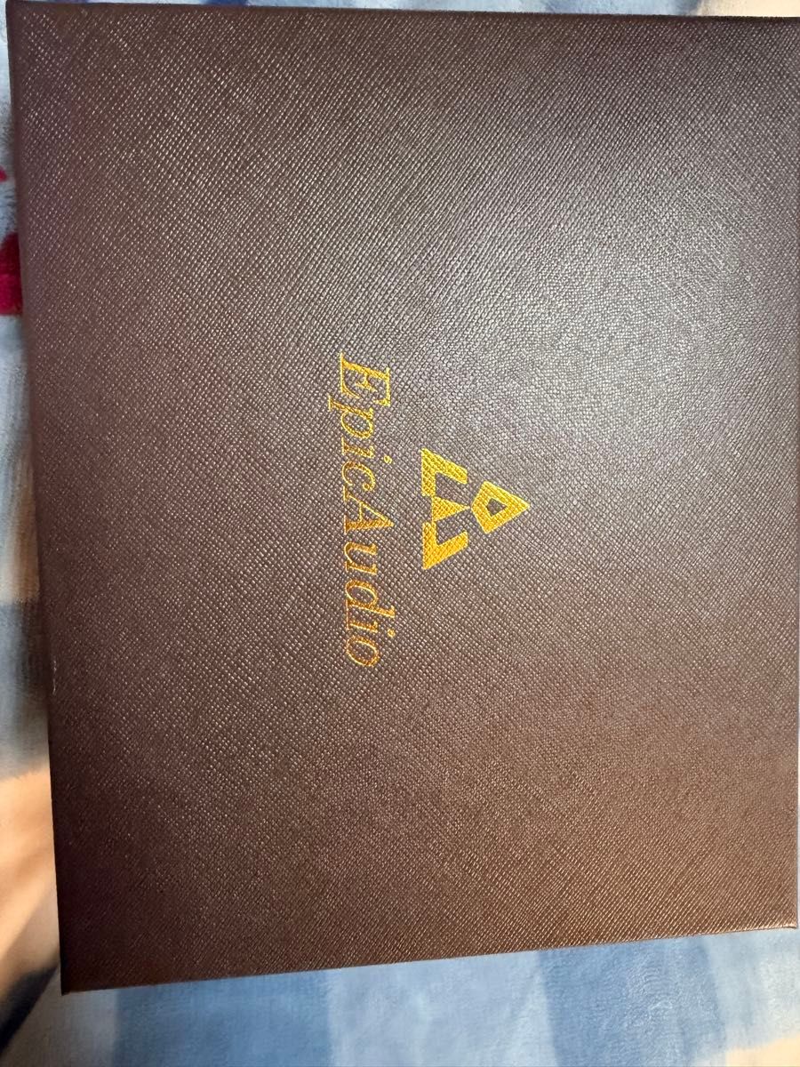 年末セール Epic Audio Schizophrenia 有線イヤホン｜Yahoo!フリマ（旧