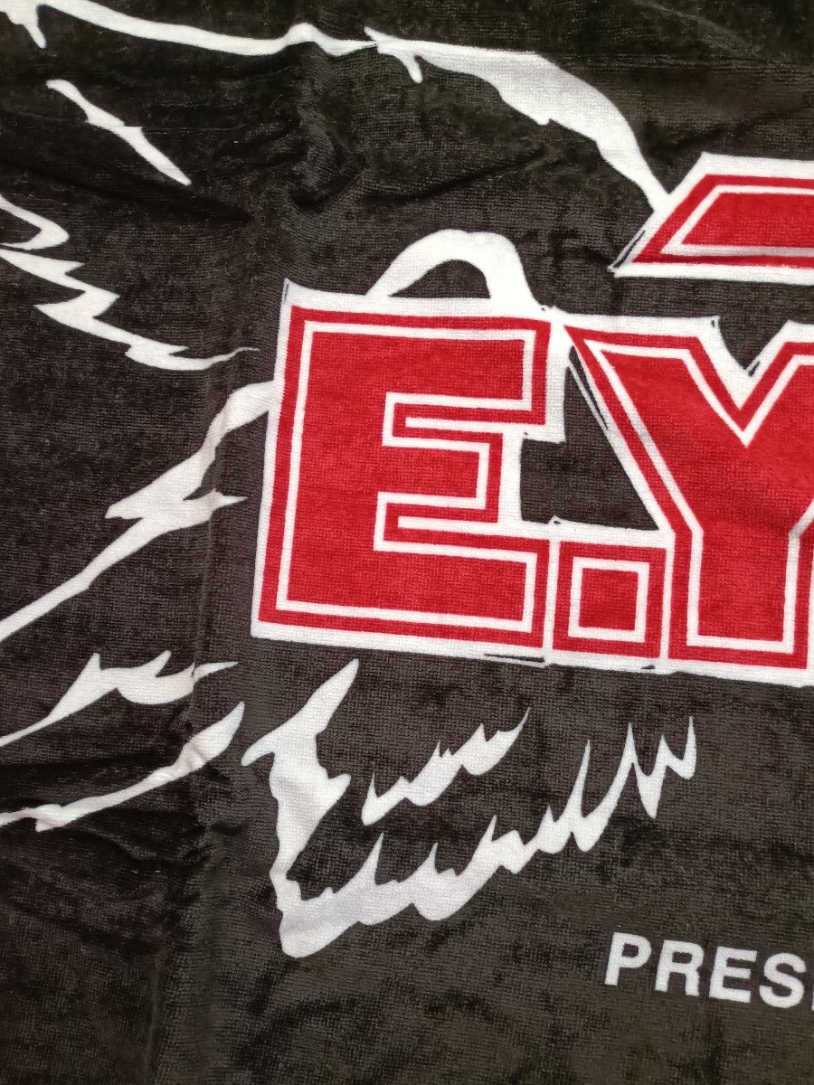 未開封・新品】矢沢永吉 スペシャルビーチタオル SBT（ツバサ アカロゴ