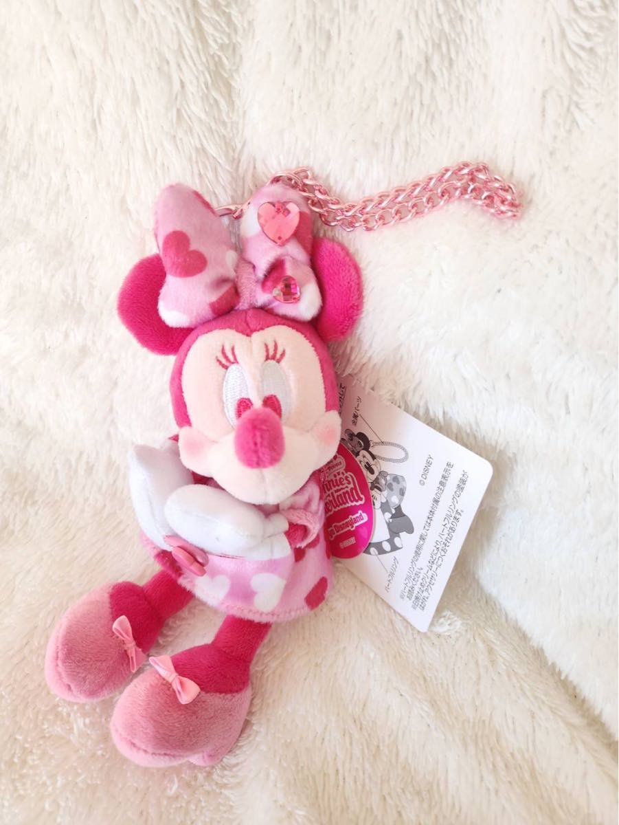 専用 ディズニーランド パルパルーザ ミニーのファンダーランド