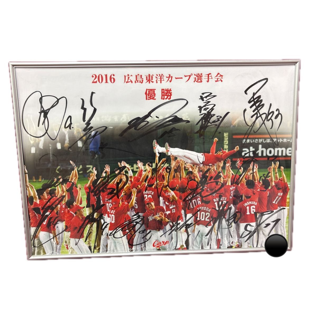 本物 超希少 非売品 2016 広島カープ選手会 直筆サインパネル 黒田選手