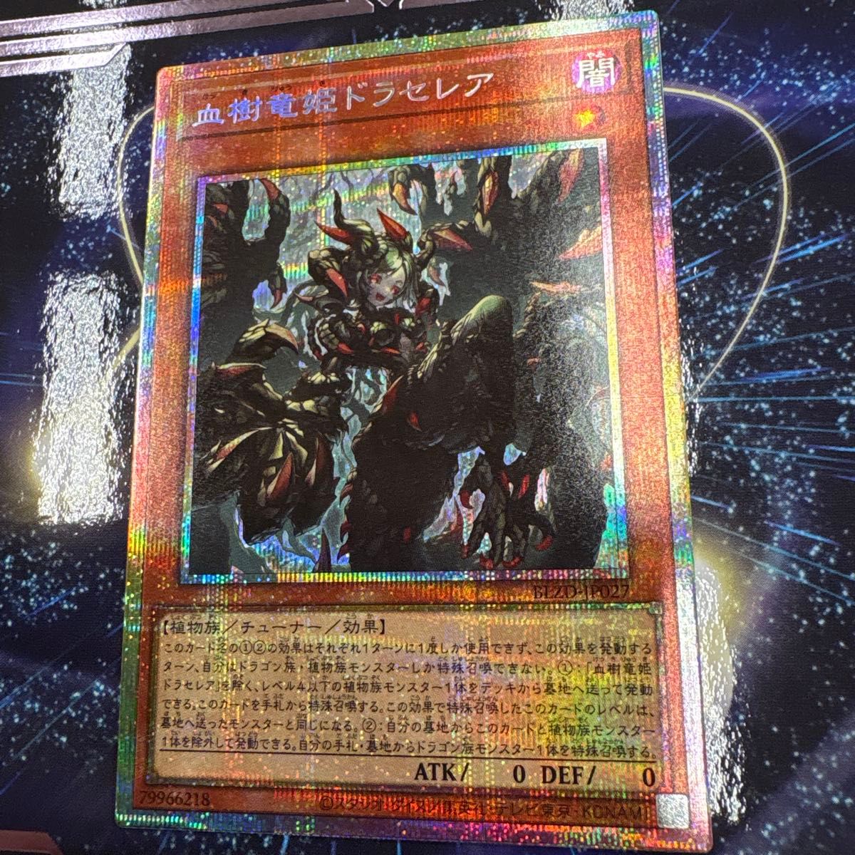 こんぶ】遊戯王 血樹竜姫ドラセレア プリズマ プリシク アジア版 3枚