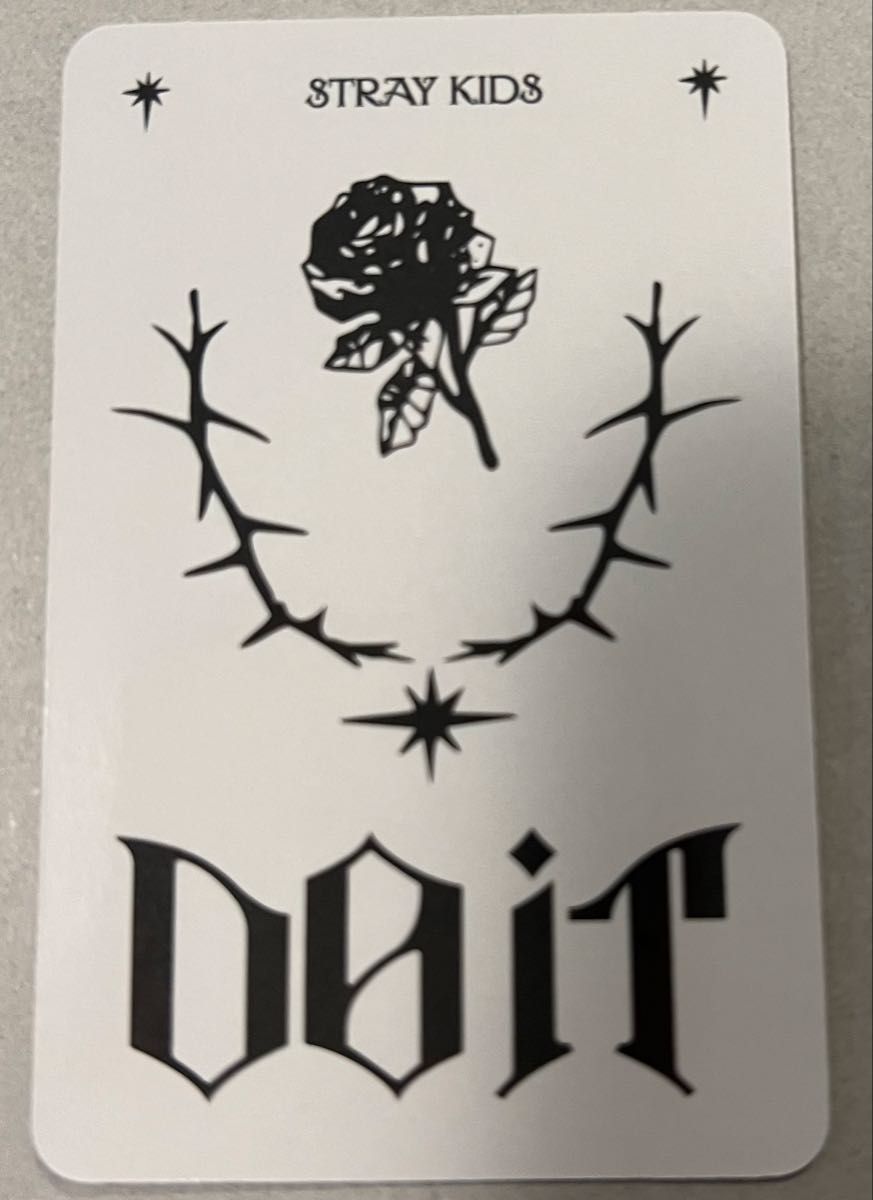 StrayKids EVIL SKZOOスピーカー スンミン｜Yahoo!フリマ（旧PayPay