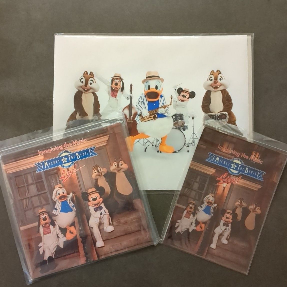 ディズニー イマジニングザマジック 実写 フォトパネル ポスター 額