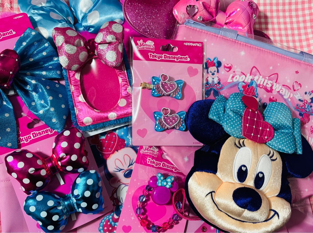 ミニー ミニーのファンダーランド ディズニー パルパルーザ ミニパル