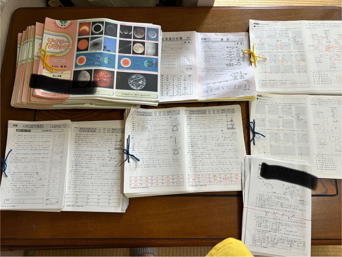 SAPIX 5年 理科 一年分 フルセットデイリーステップ スプリングサマー