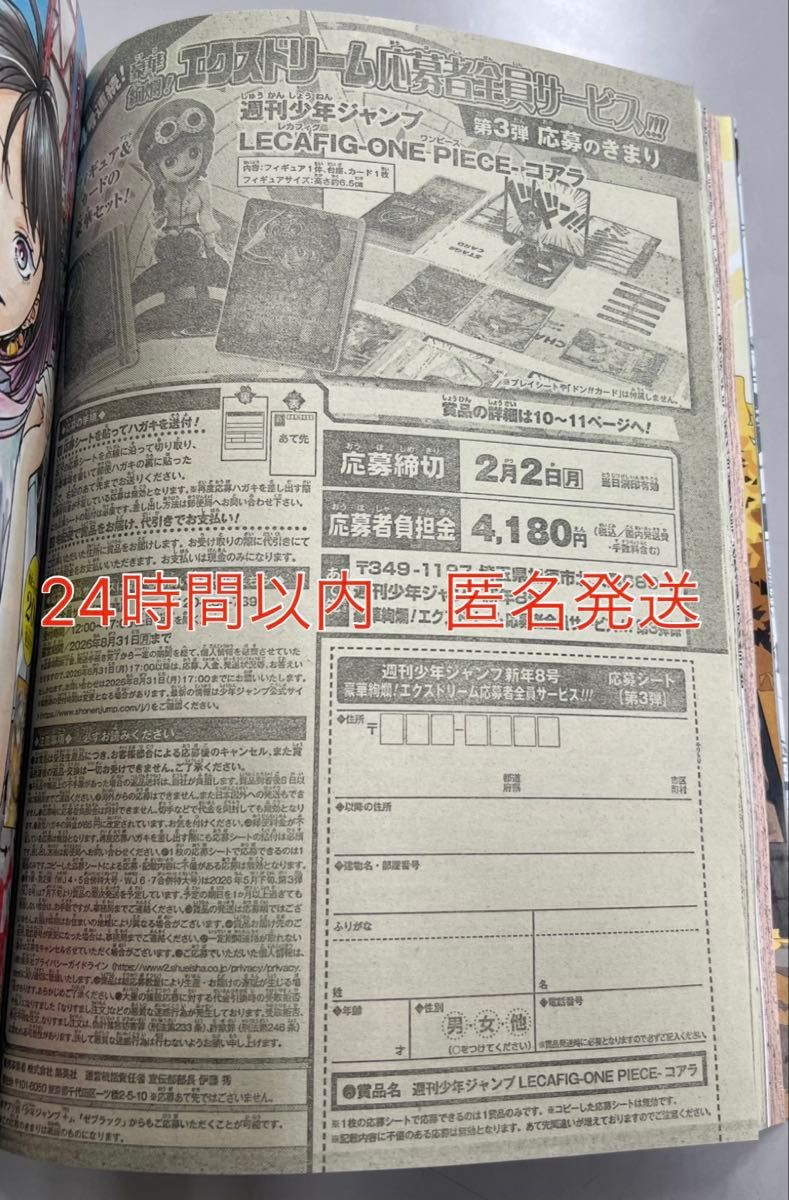 週刊少年ジャンプ 8号 ワンピース レカフィッグ コアラ 応募券 応募