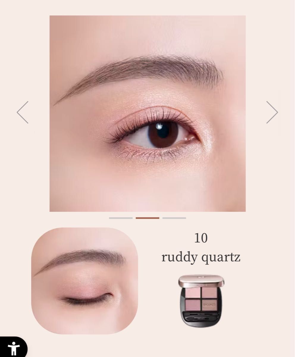 新品未使用 コスメデコルテ スキンシャドウ デザイニング パレット 10