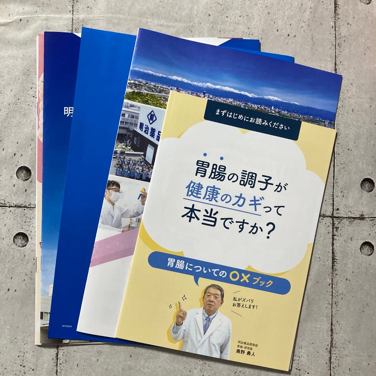 明治薬品 ラクトロン錠 （180錠 ） シボラナイト ハーブティー セット