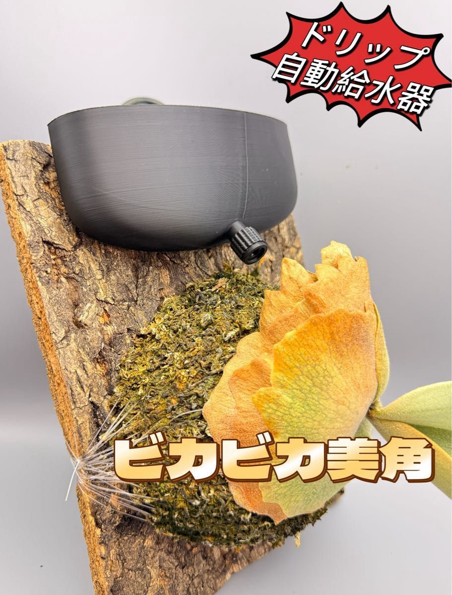 ビカクシダ 板付専用 ドリップ式掛け給水器 120ml｜Yahoo!フリマ（旧