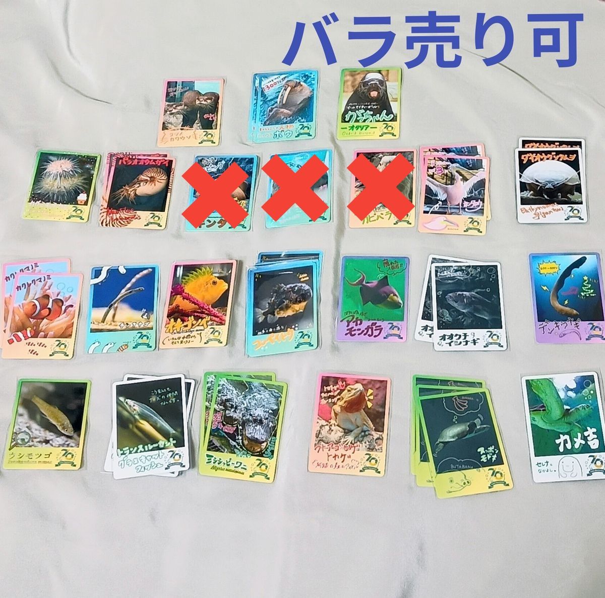 バラ可】鳥羽水族館コレクションカード とばすいコレカ｜Yahoo!フリマ