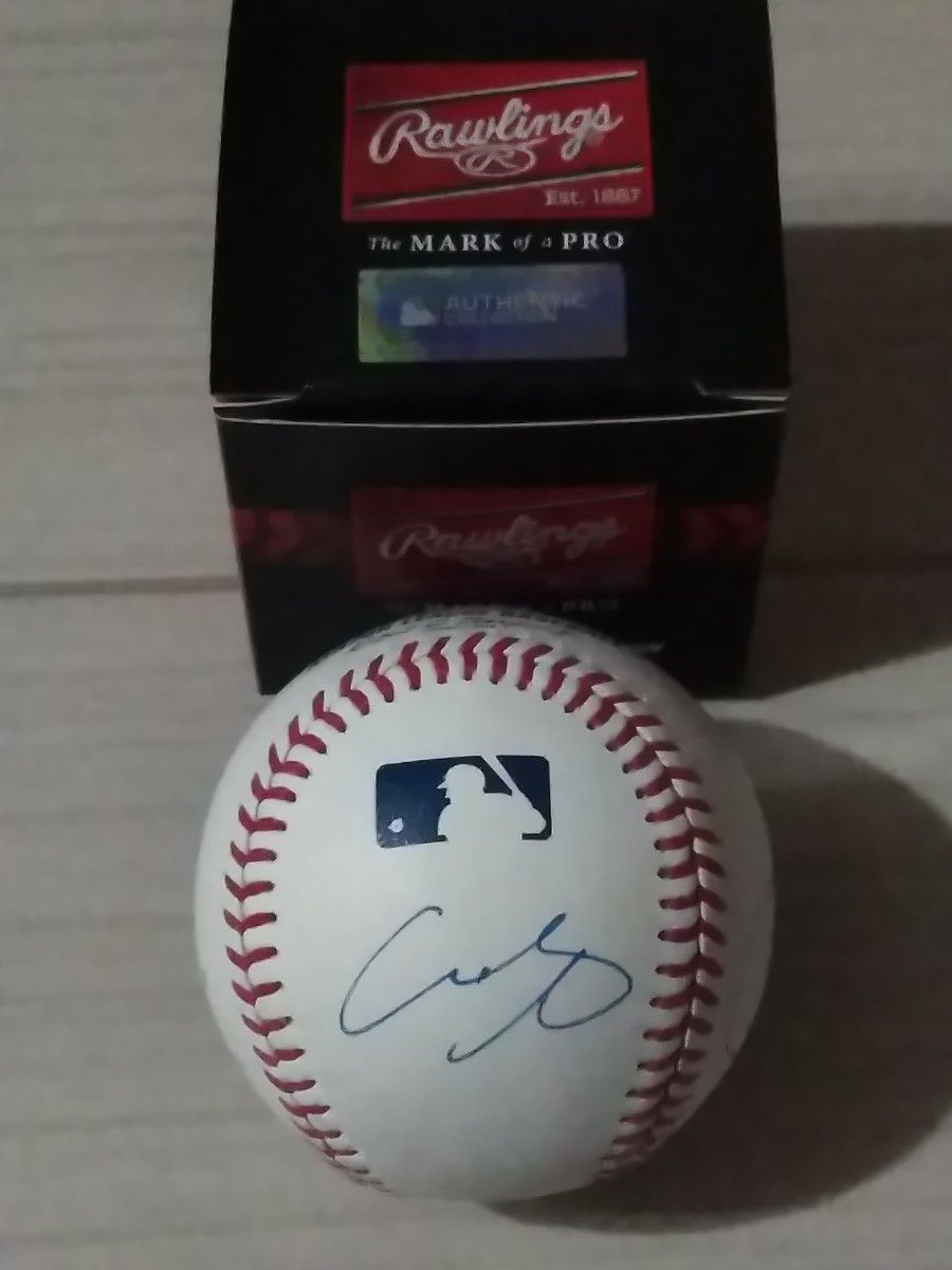 MLB試合球 大谷翔平 佐々木朗希 山本由伸 直筆サインボール