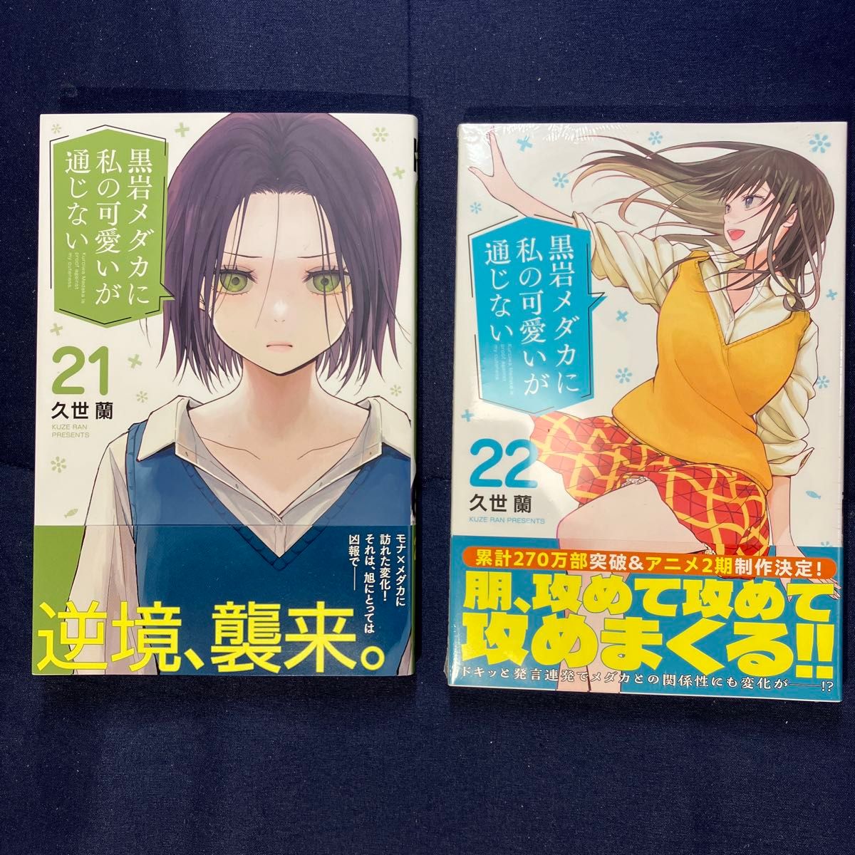 ほぼ新品品質】【シュリンク剥がしただけ】黒岩メダカに私の可愛いが