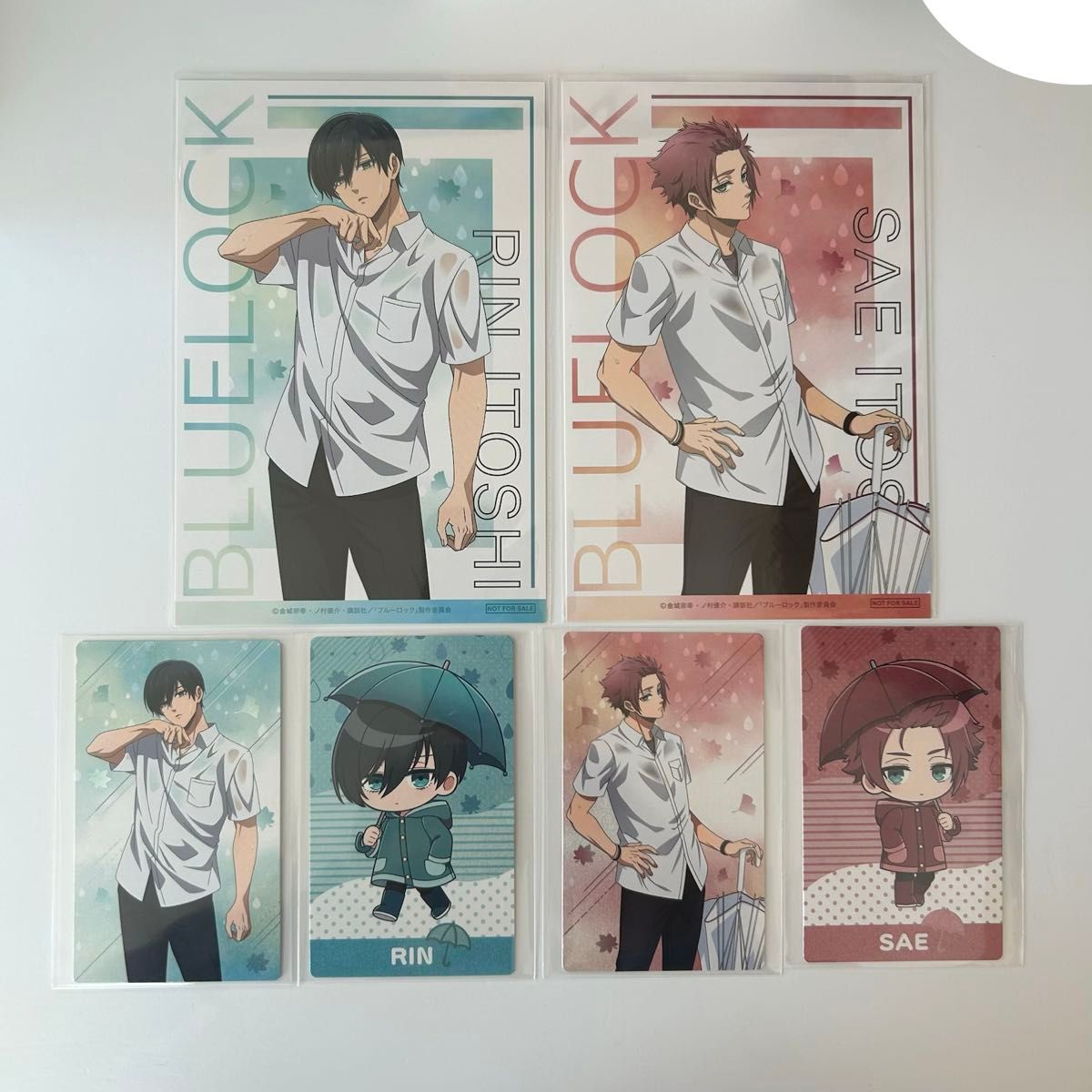 ブルーロック 糸師凛 糸師冴 秋雨 ポストカード アニメイト購入特典