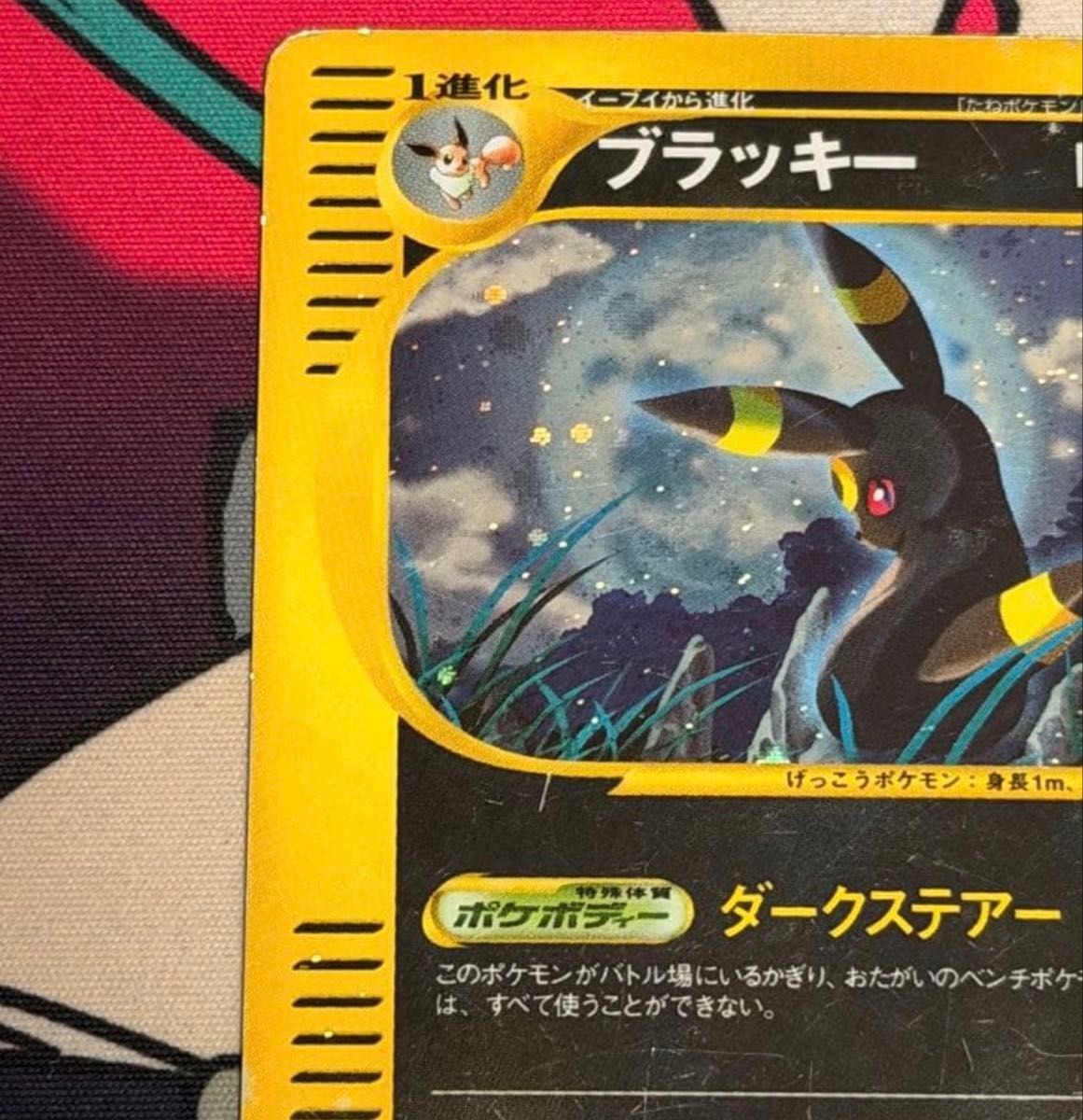 ブラッキー 拡張パック第4弾 裂けた大地 072/088 カードe eカード ホロ