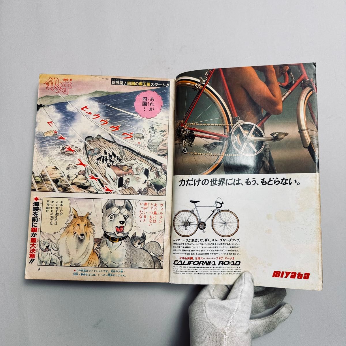 週刊少年ジャンプ 1985年1月29日号 新年7号 DRAGON BALL