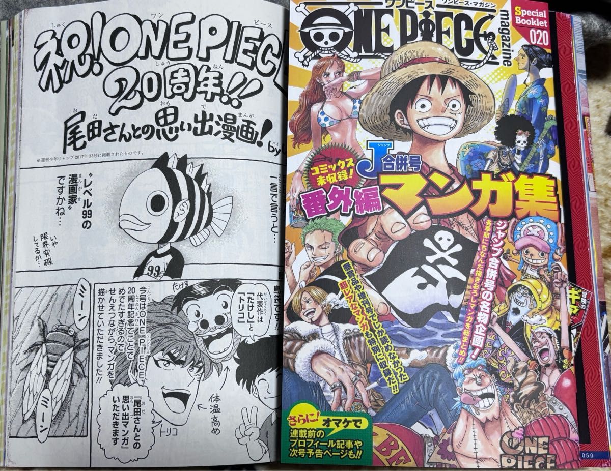 ワンピースマガジン Vol 20 2冊セット 付録無し｜Yahoo!フリマ（旧