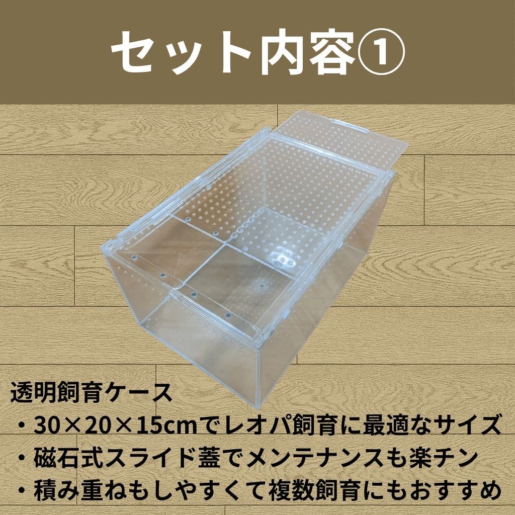 レプタイルボックス ウェットシェルター飼育セット コルネ 爬虫類
