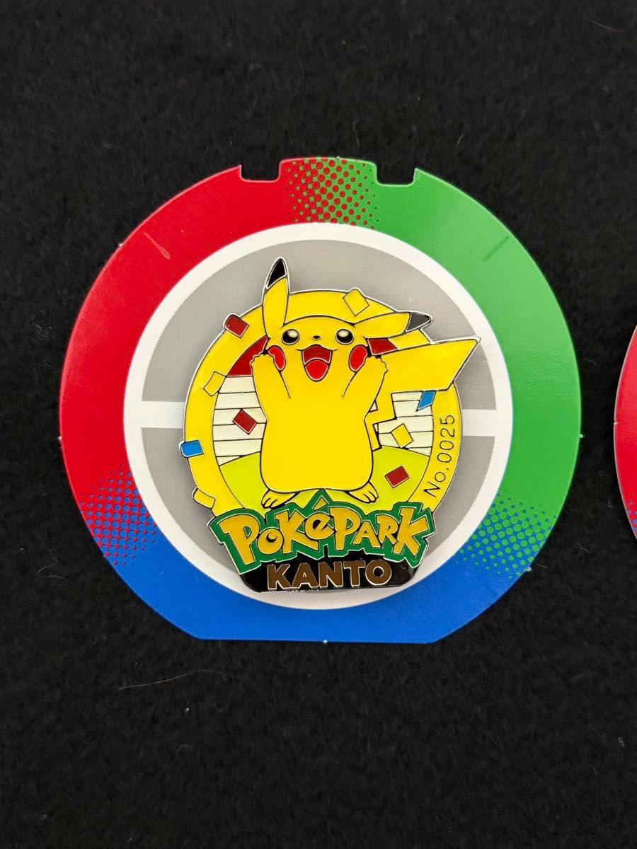 ポケパークカントー ピンズ（ピンバッジ）ピカチュウ ライチュウ2個