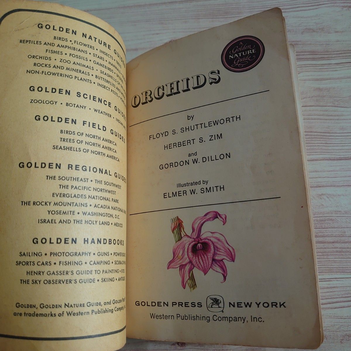 ORCHIDS Golden Nature Guide 洋ラン ガイドブック 英語 洋書｜Yahoo