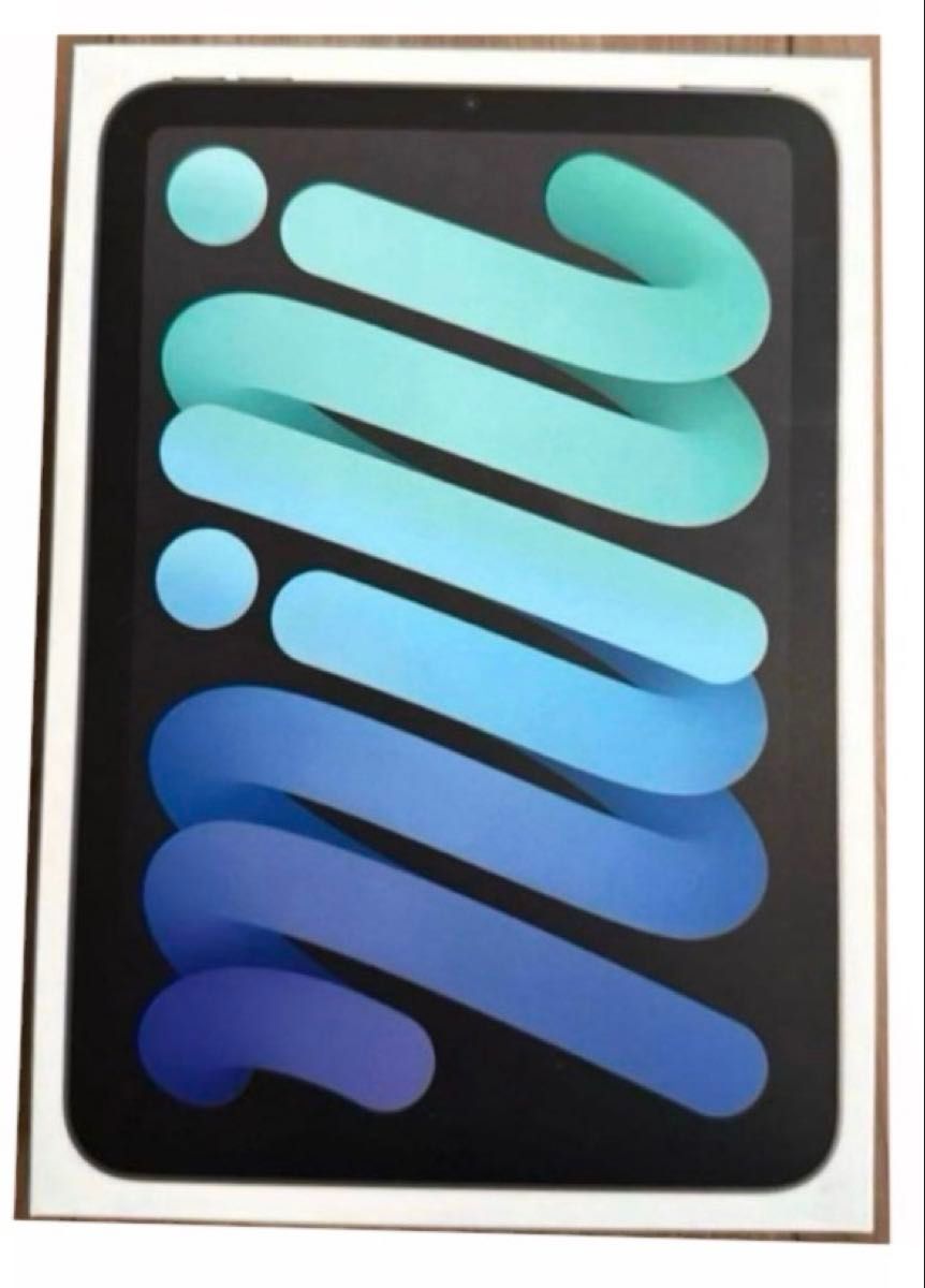 新品未開封 Apple iPad mini (A17 Pro) 第7世代 Wi-Fi 128GB スペース