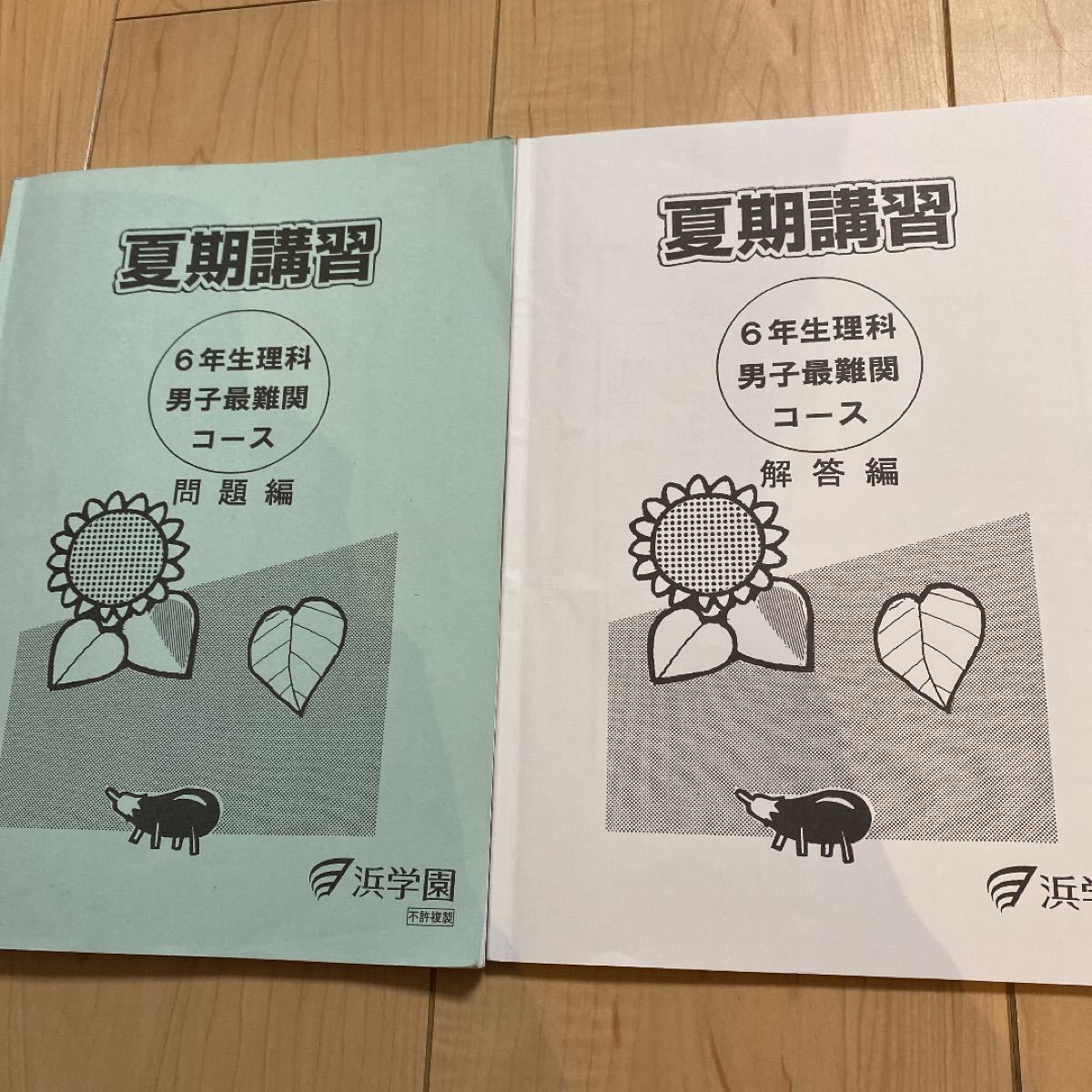 浜学園 小6 夏期講習 理科 男子最難関 2020年度｜Yahoo!フリマ（旧