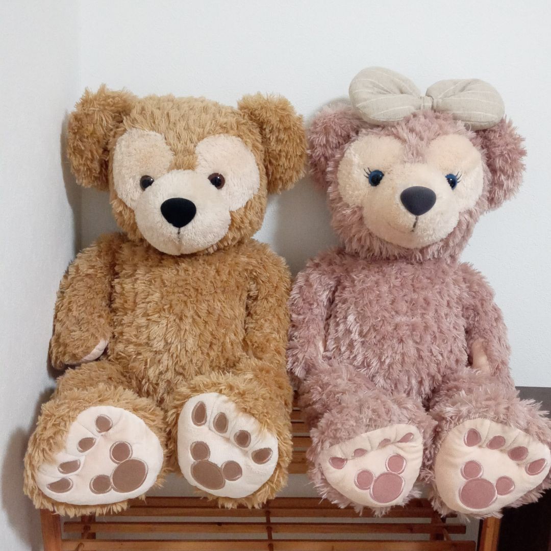 2体セット】ダッフィー&シェリーメイ Mサイズ ディズニーシー Duffy