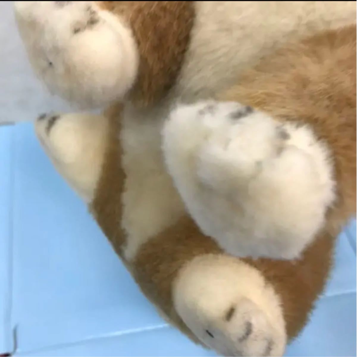 SHIKI original 四季オリジナル ぬいぐるみ シバイヌ 柴犬｜Yahoo