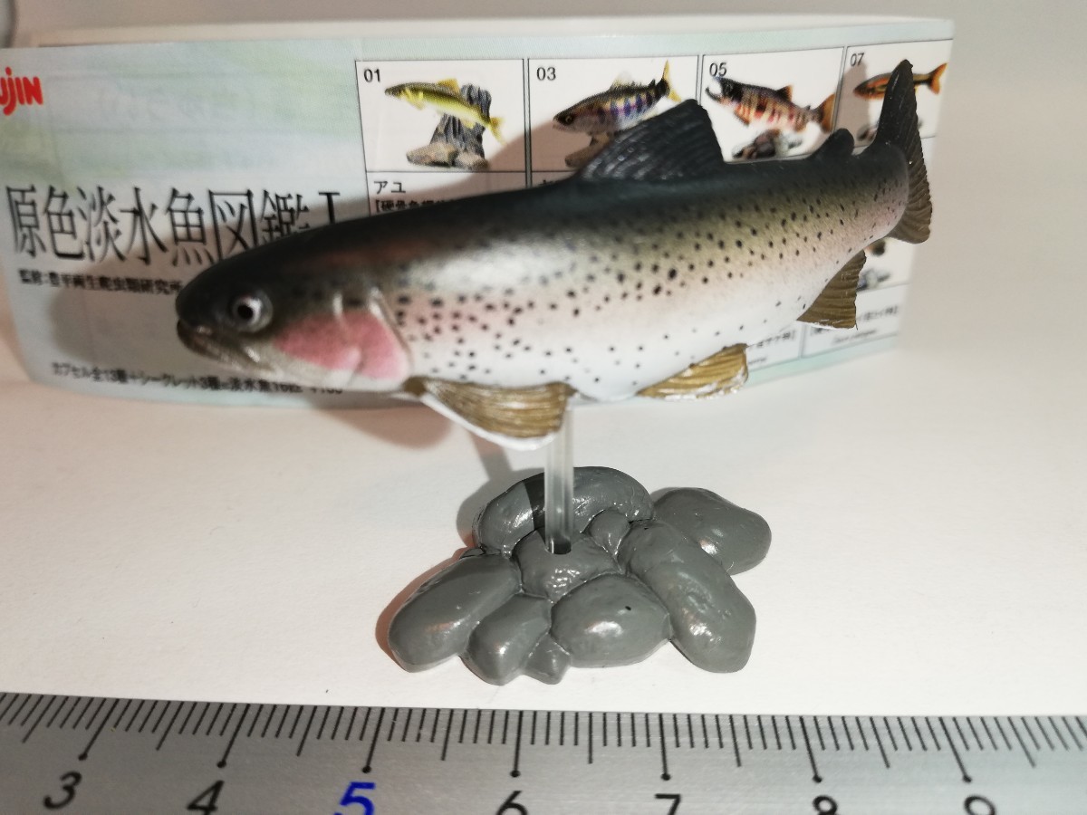 ユージン 原色淡水魚図鑑Ⅰ 初版 ニジマス｜Yahoo!フリマ（旧PayPay