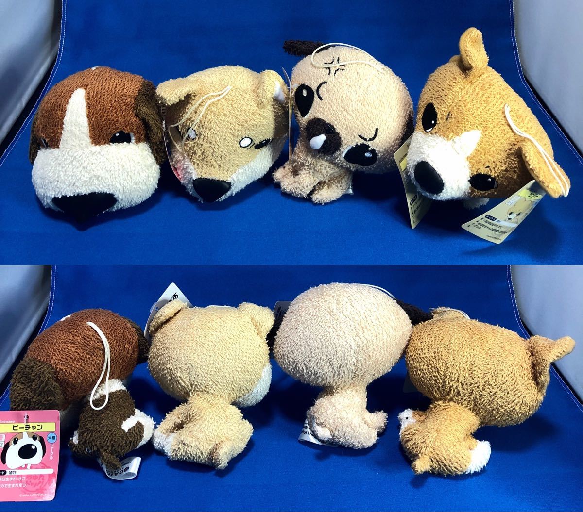 レア】ふぉうちゅんドッグす (タオル生地) ぬいぐるみ〈12個セット