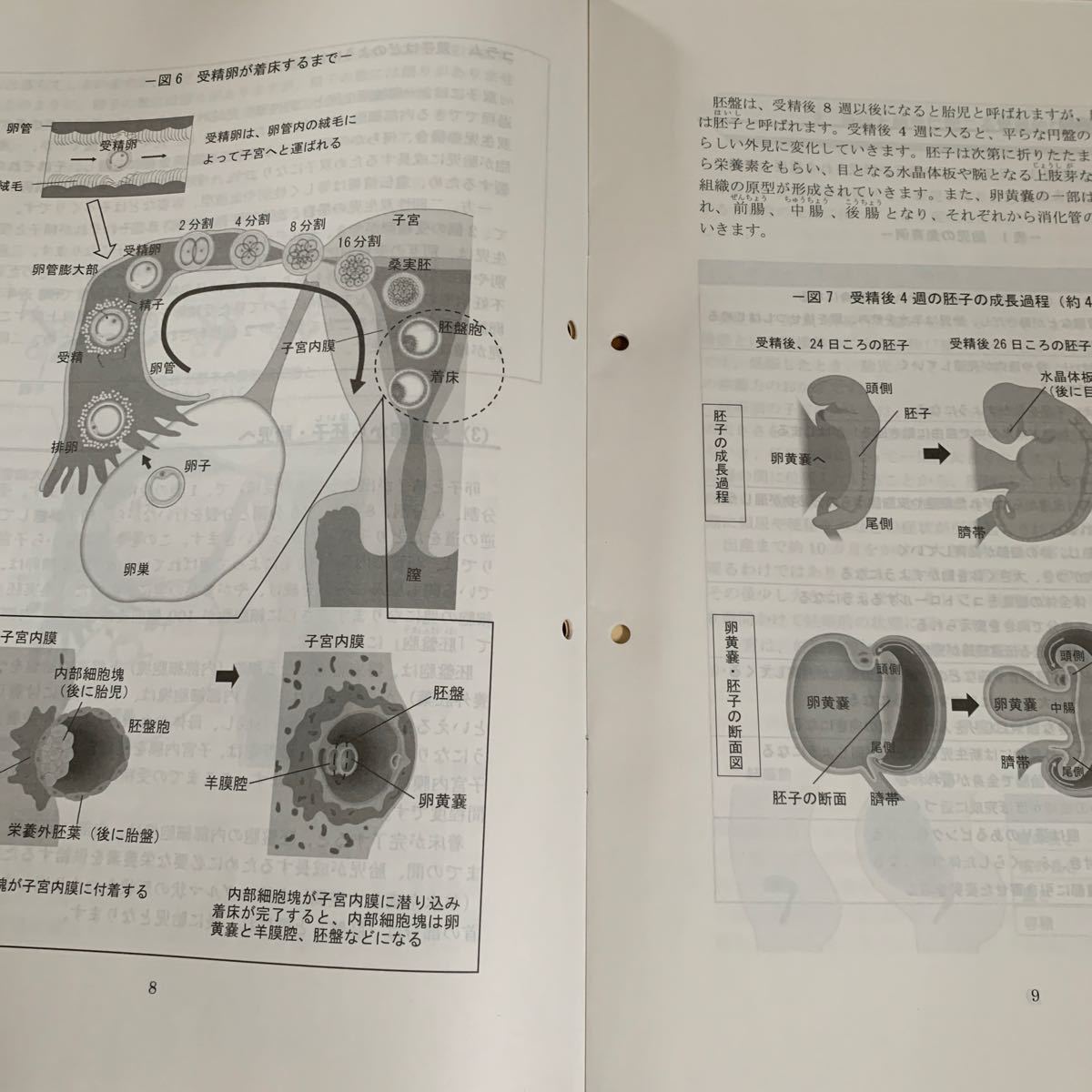 健康管理士・一般指導員受験対策講座テキスト6冊 1級試験・合格対策