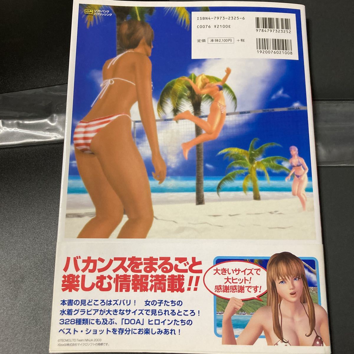 デッド オア アライブ エクストリーム ビーチバレーボール ベスト