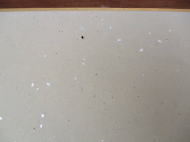 Yahoo!オークション - 古賀稔彦 直筆サイン入り色紙 約27.2㎝×24.2㎝