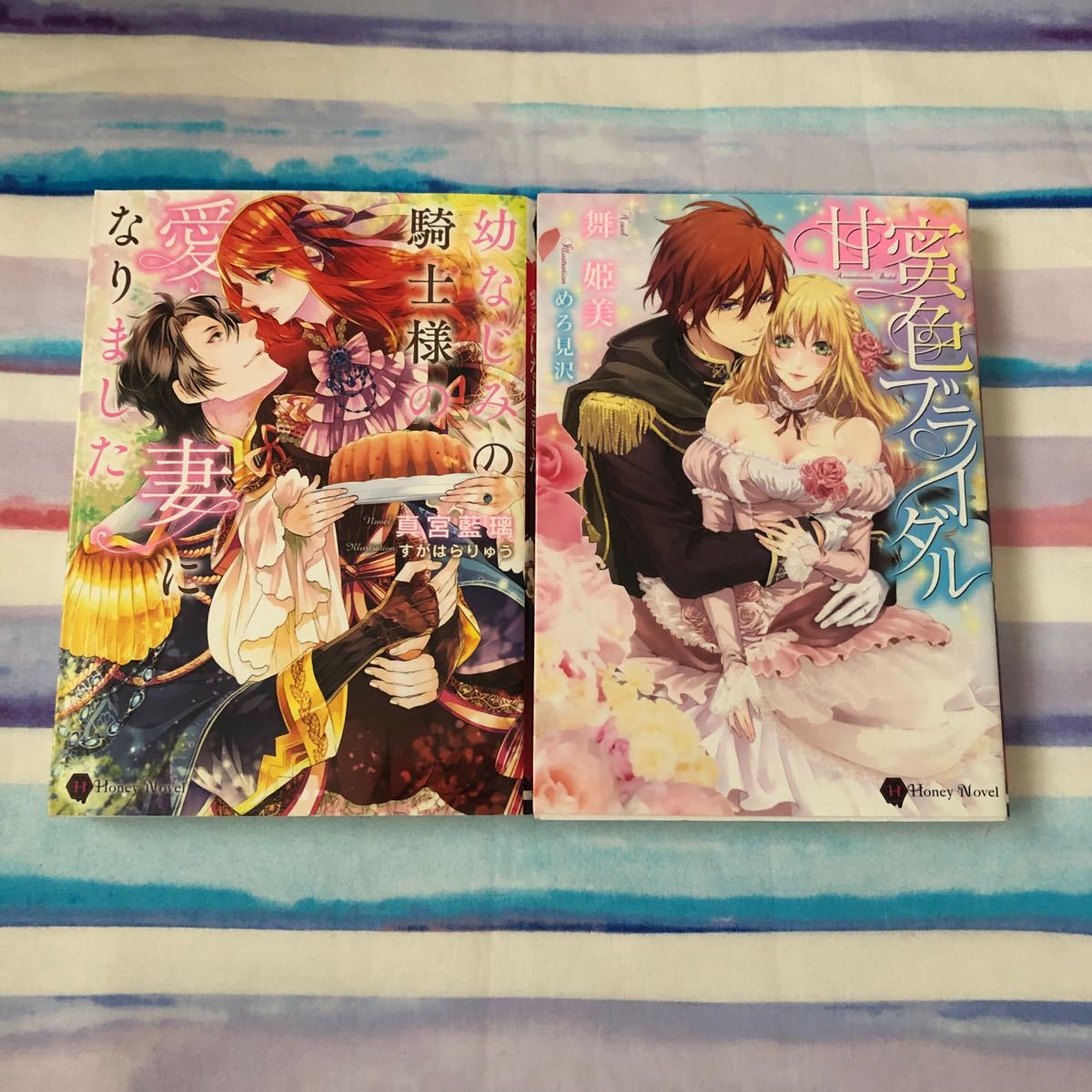 TL小説14冊/特典SSなし/ハニー文庫/ヴァニラ文庫/ソーニャ文庫