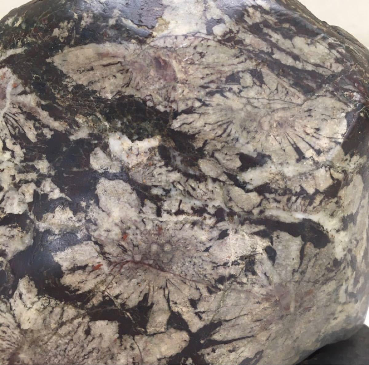 菊花石 台付き 飾石 水石 鑑賞石 原石 天然石 観賞石 コレクション