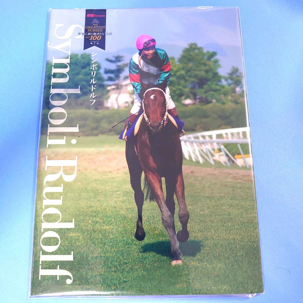 稀少品】シンボリルドルフ ぬいぐるみ アイドルホース ウマ娘 田所