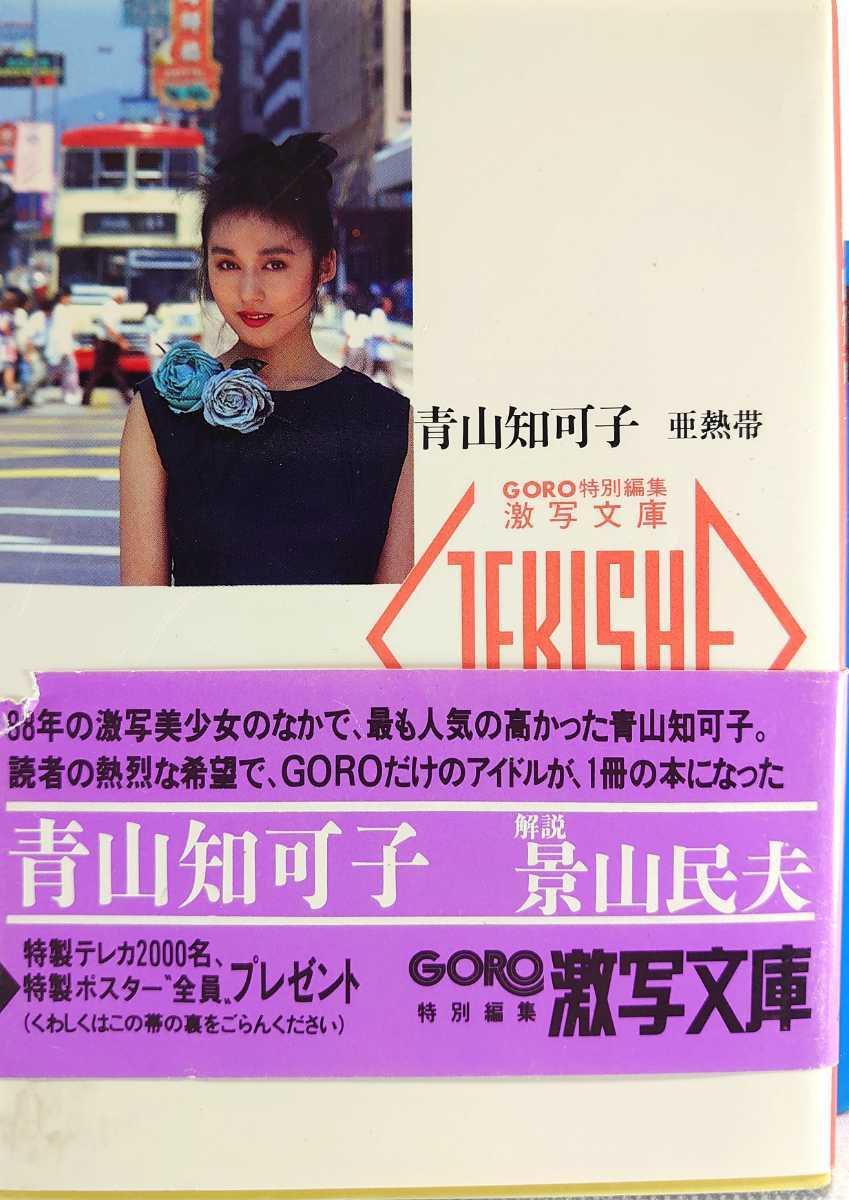 Yahoo!オークション - 青山知可子 写真集 亜熱帯 激写文庫 篠山紀信