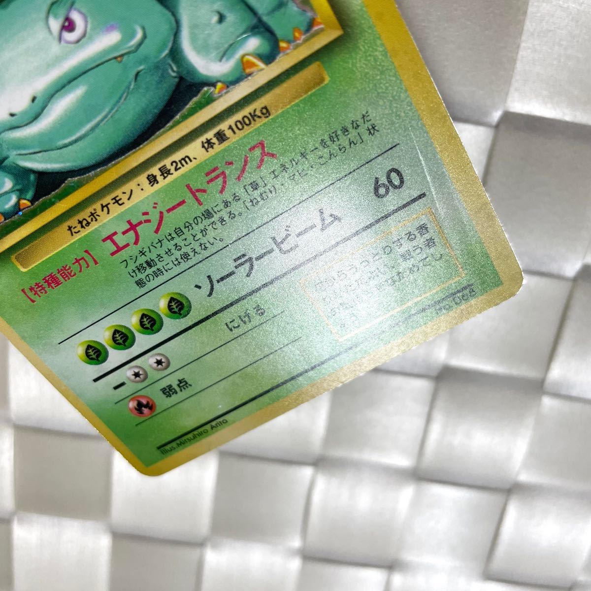 初期フシギバナ エラーカード 星なし 旧裏 ポケモンカード 最初期