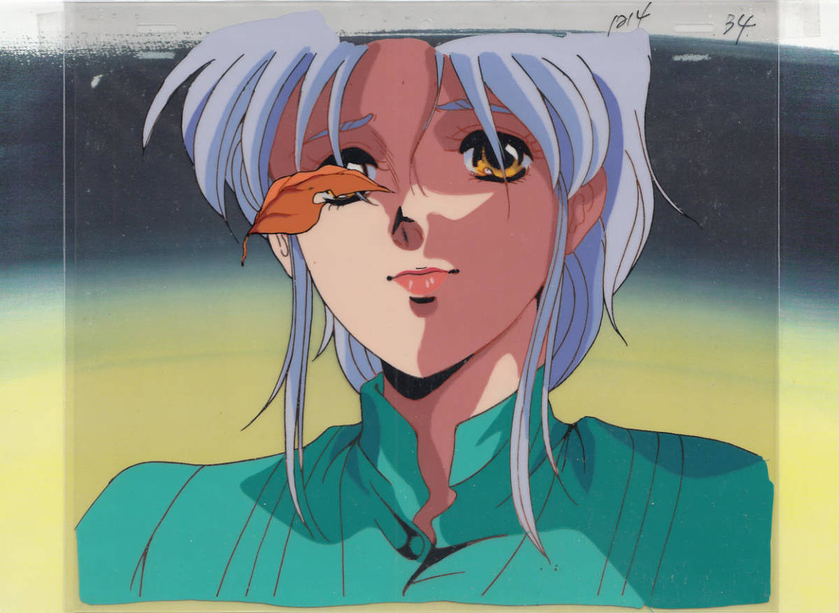 Yahoo!オークション - メガゾーン23 Part3のセル画 その3/美樹本晴彦