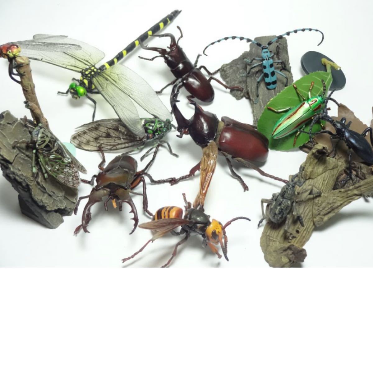 原色日本昆虫図鑑I｜Yahoo!フリマ（旧PayPayフリマ）