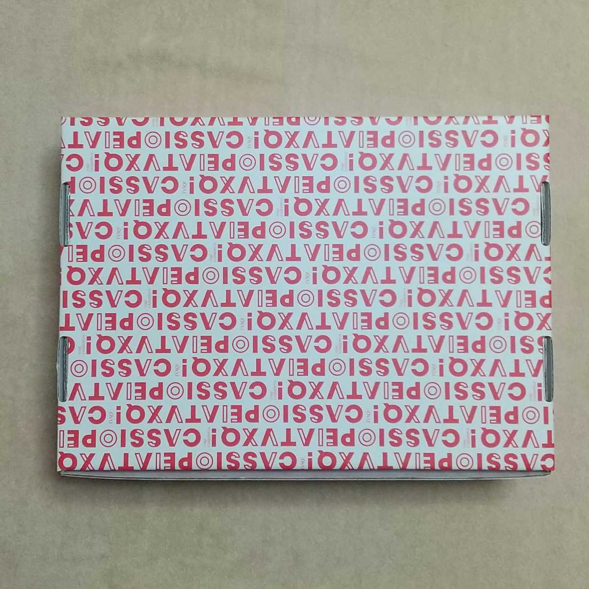 ☆激レア☆東方神起 韓国FC Cassiopeia ～O～正反合応援タペストリー