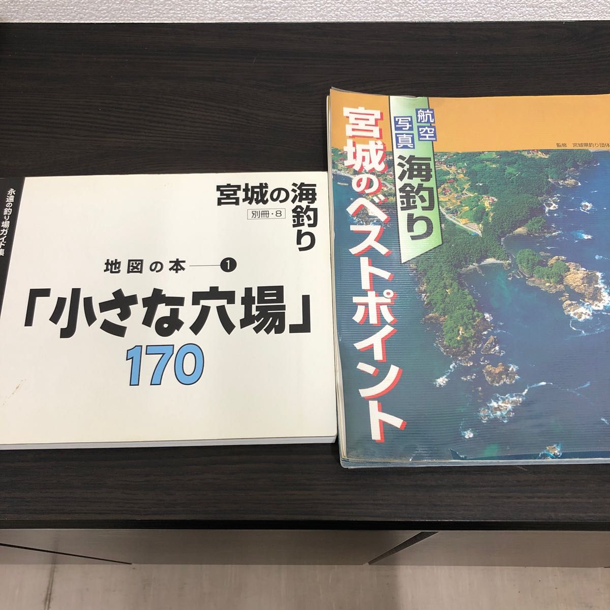 宮城の海釣り 小さな穴場170｜Yahoo!フリマ（旧PayPayフリマ）