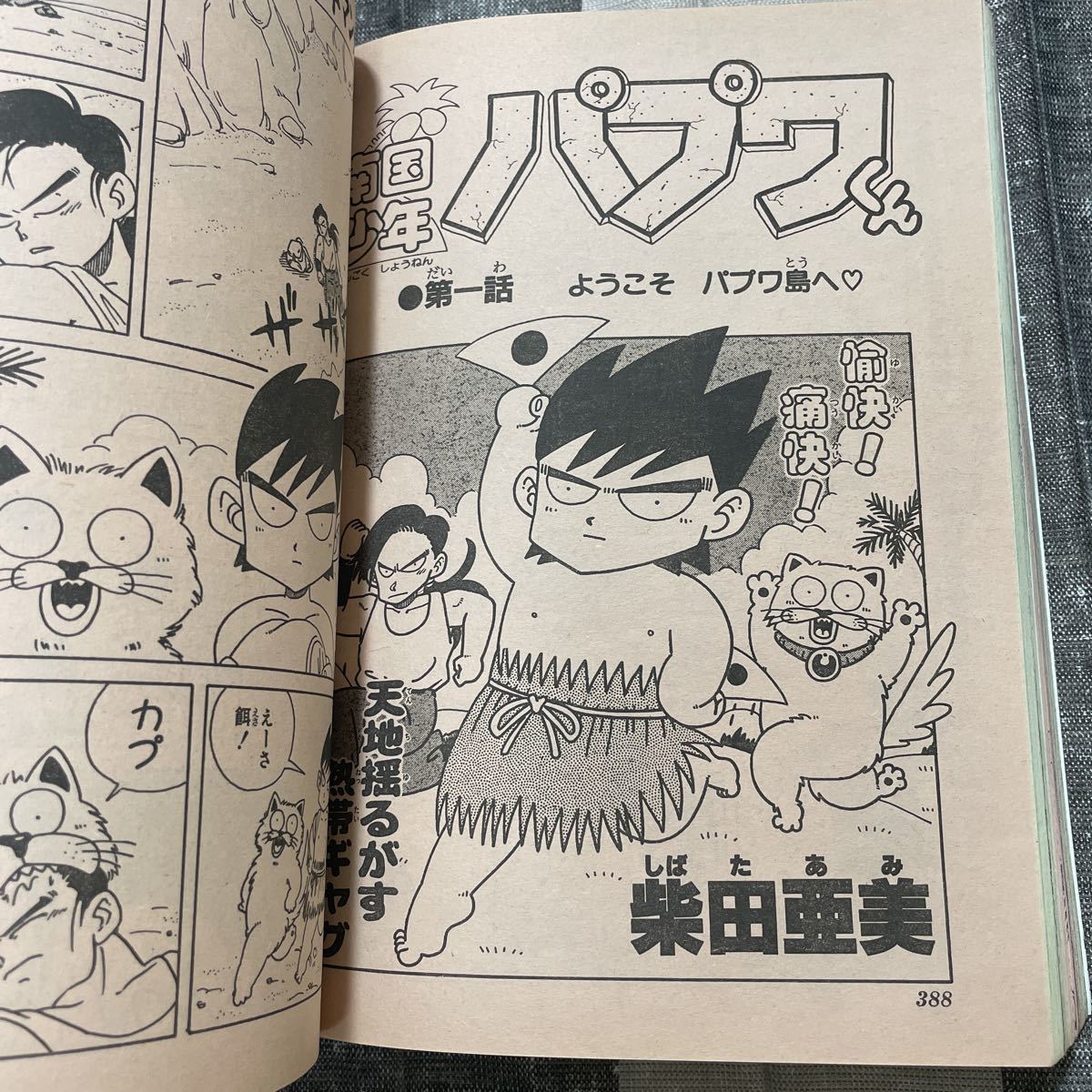 Yahoo!オークション - 月刊少年ガンガン 創刊号 1991年 エニックス 柴