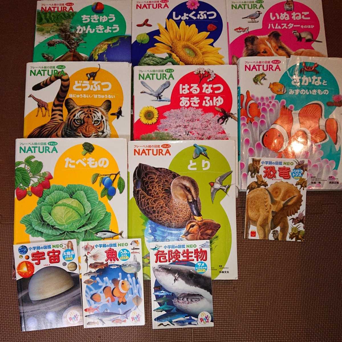 Yahoo!オークション - 図鑑セット フレーベル館の図鑑ナチュラ8冊 小学